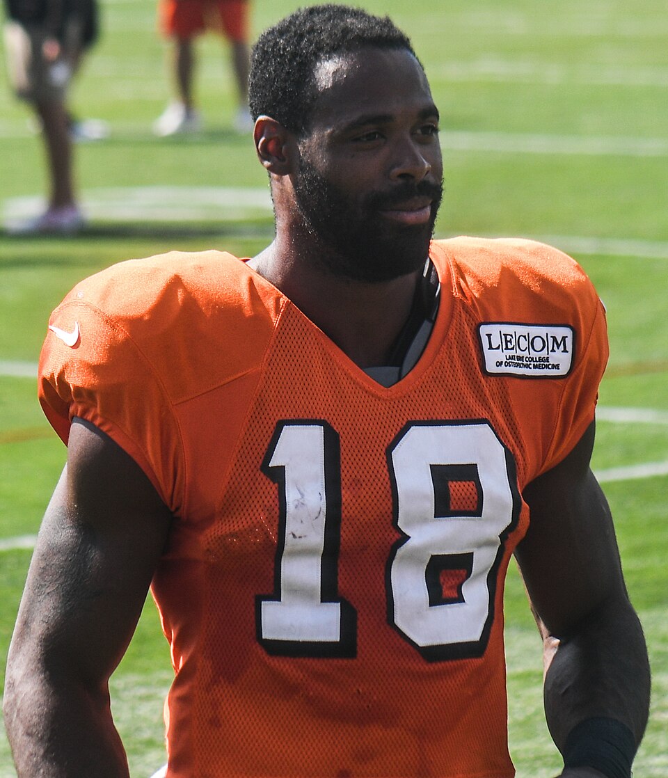Lawrence Britt