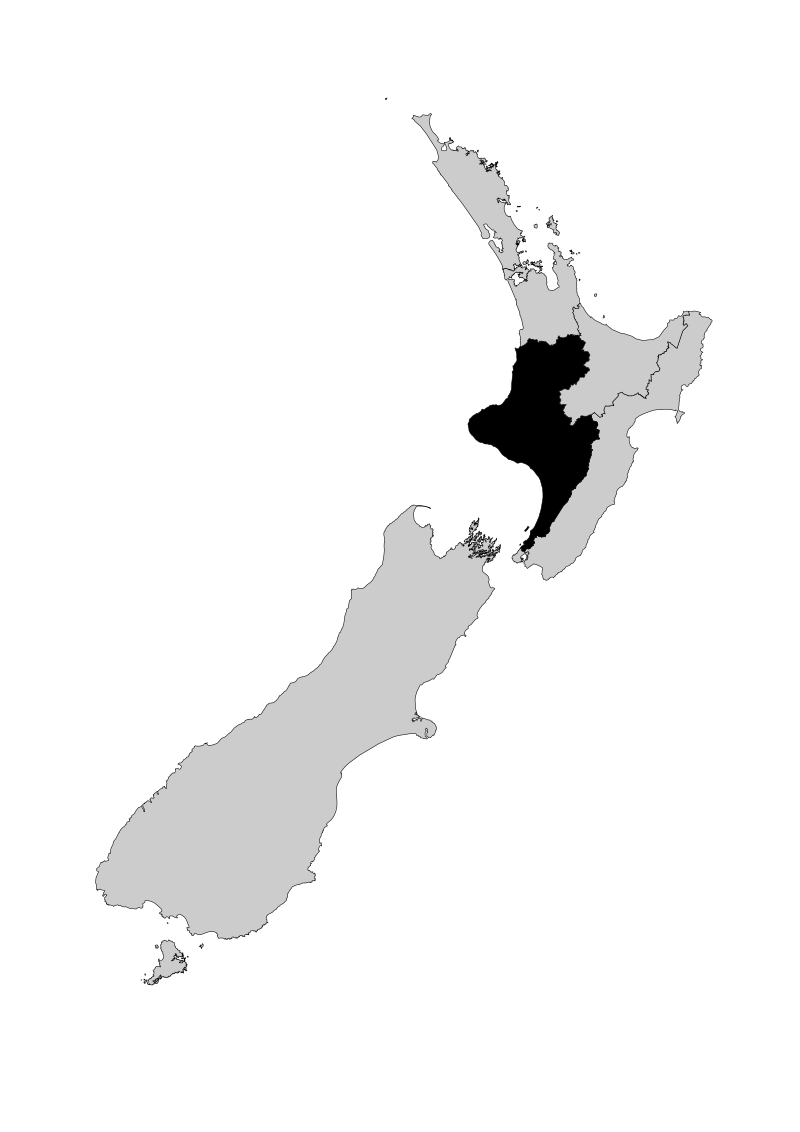 Lee Timutimu