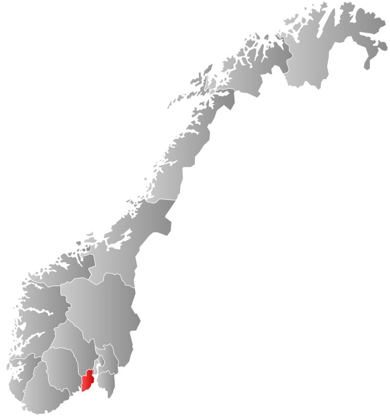 Leif Borre