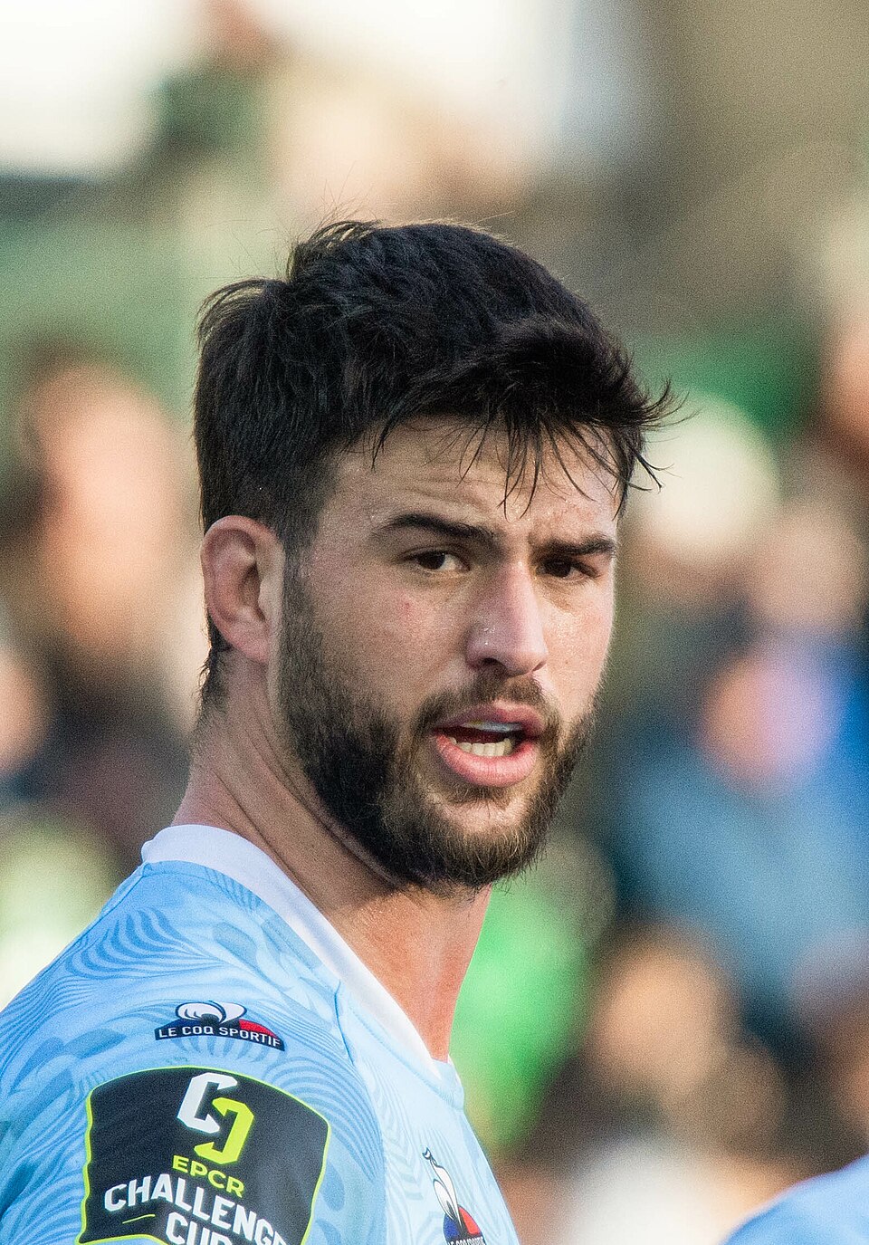Leindekar