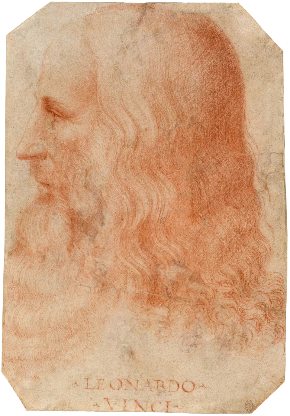 Leonardo A.