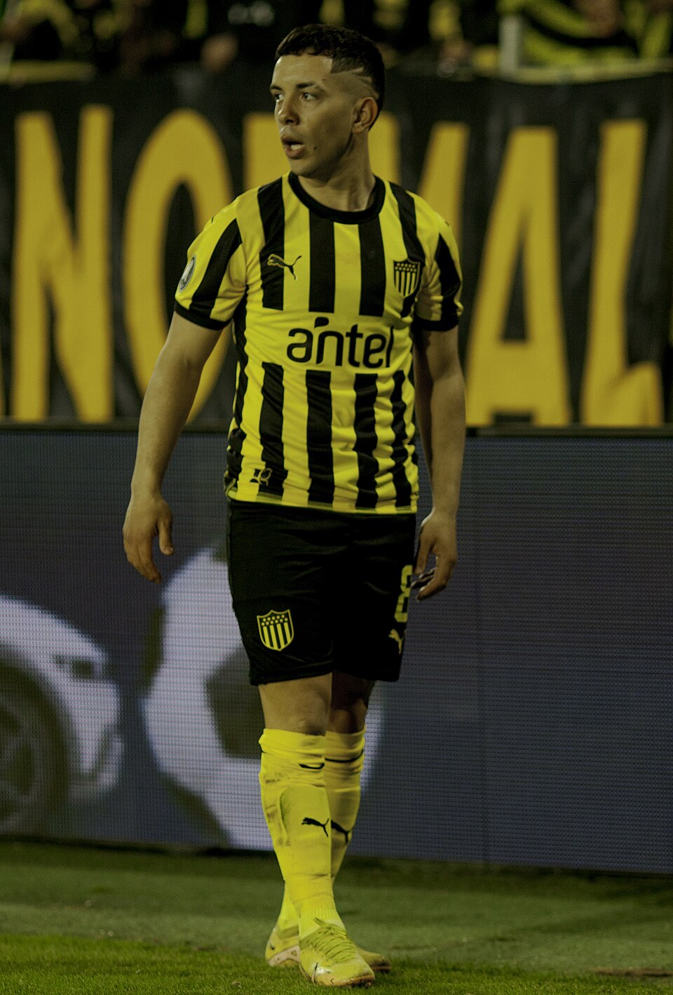 Leonardo Fernández