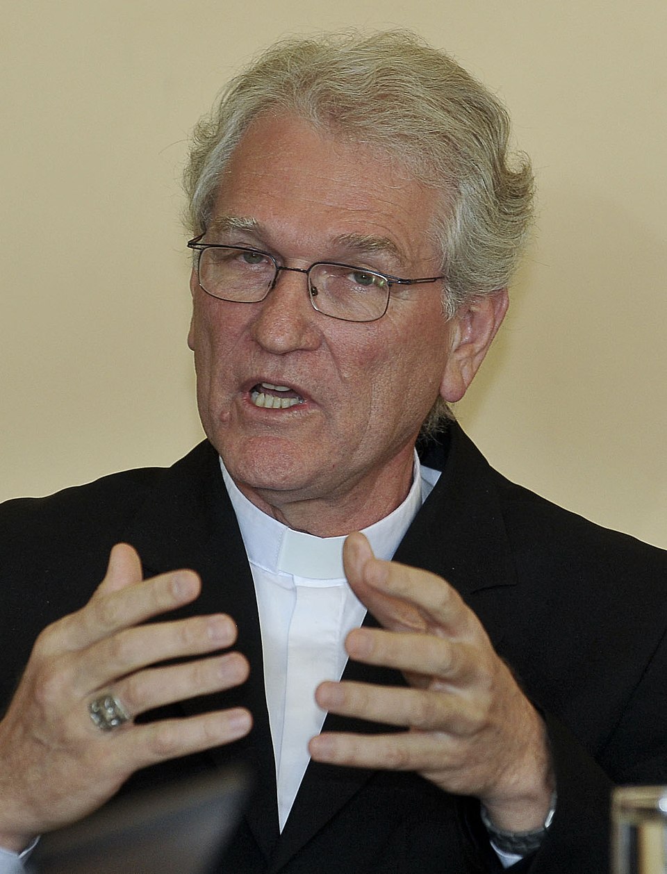 Leonardo Ulrich Steiner