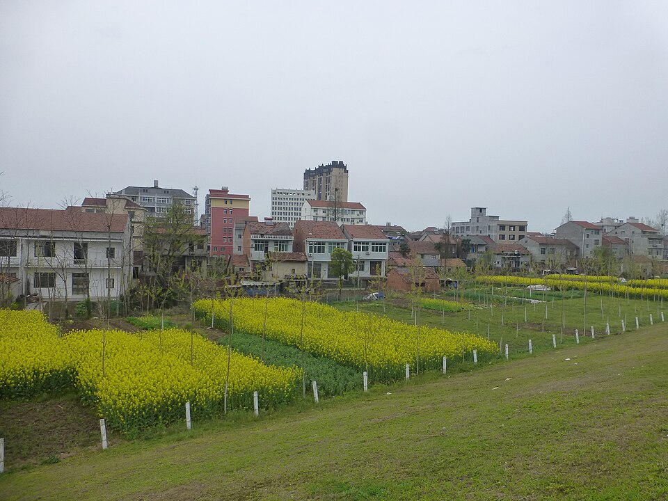 Li Shutang