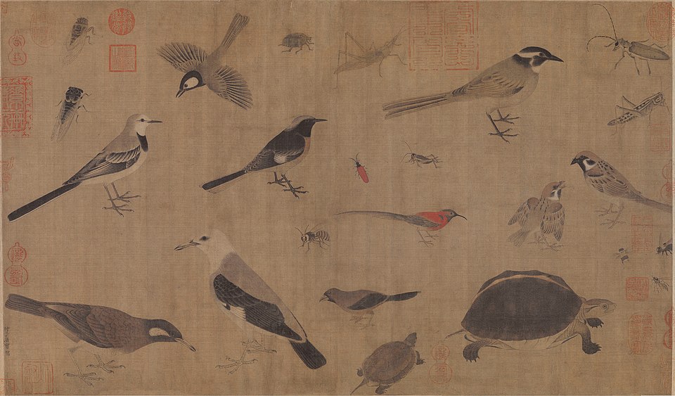 Lin Shenggai