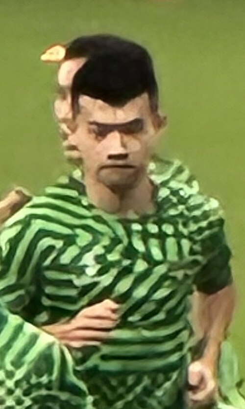 Liu Haofan