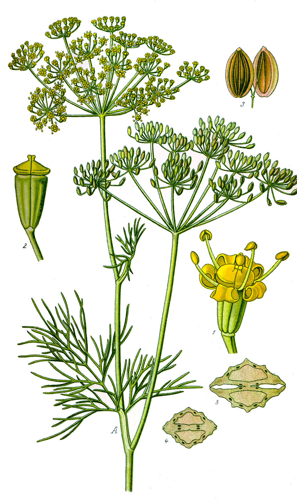 Long Xianbing