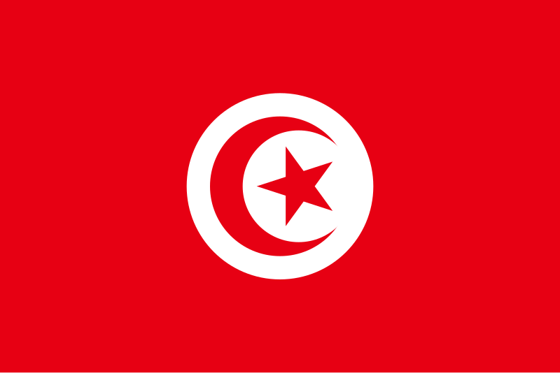 Lotfi Bouchnek