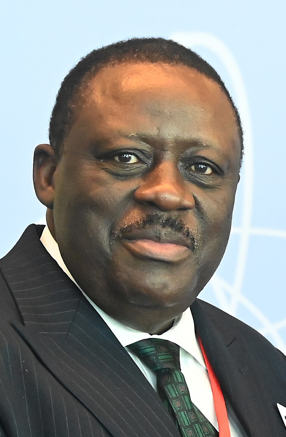 Louis Vlavonou