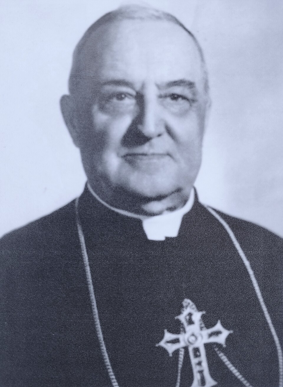 Luciana Rocchi