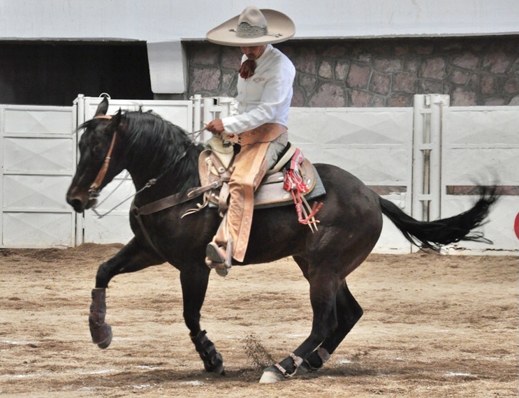 Luis Charro