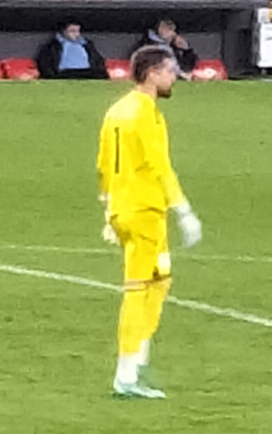 Luis Dyer Fernandez