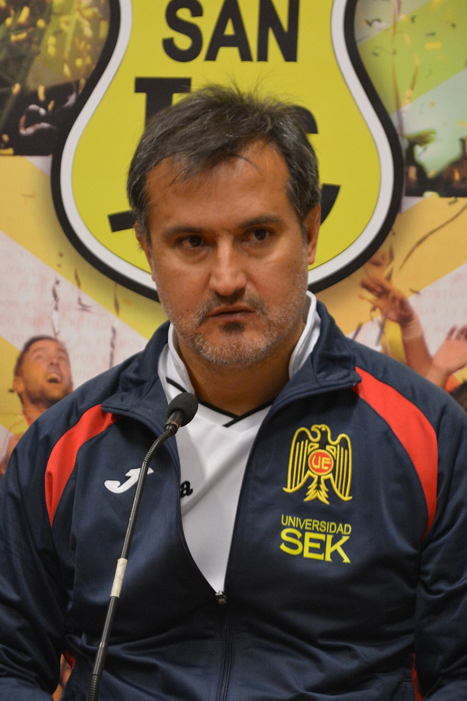Luis Fernando Vergara