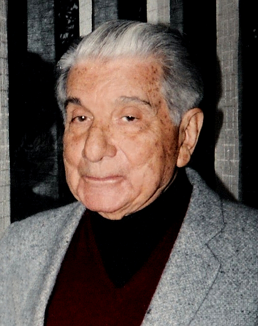Luís Franco-Bastos