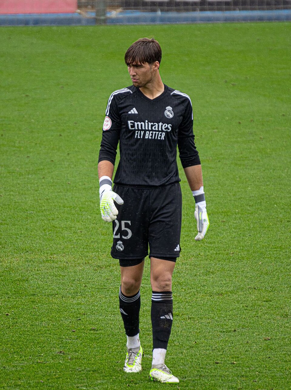 Luis González y González