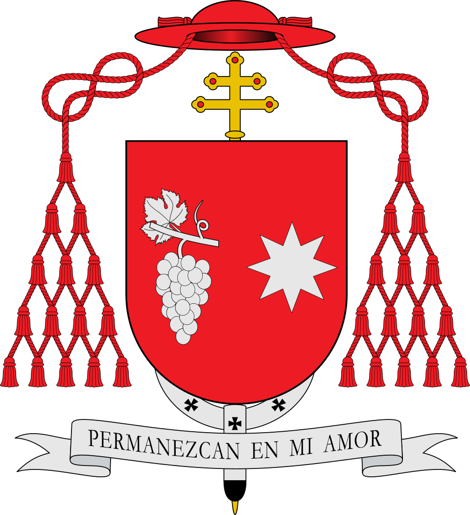 Luis José Rueda Aparicio
