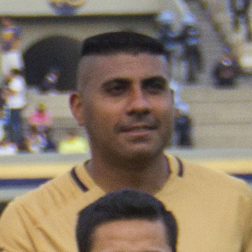 Luis Ludueña