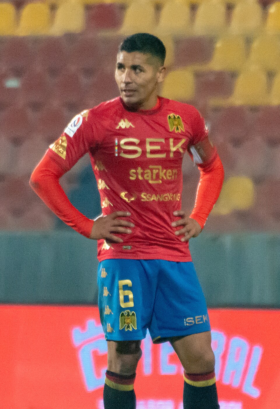 Luis Pavez Muñoz