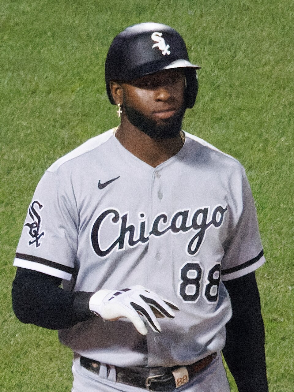 Luis Robert