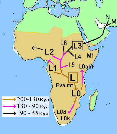 Luísa Pereira