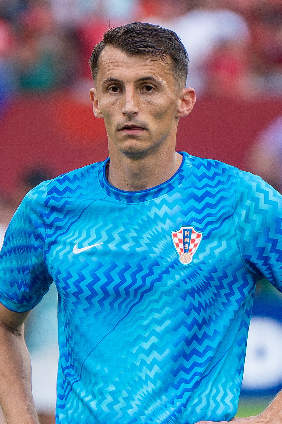 Luka Budimir