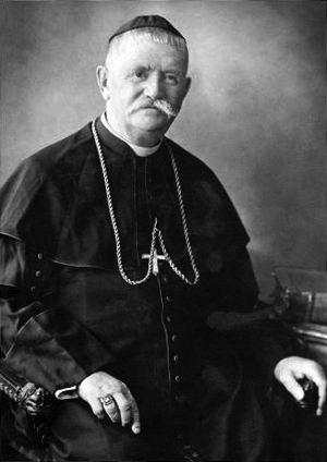 Luka Mišić