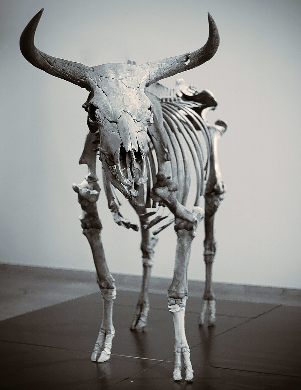 Luo Fengwei