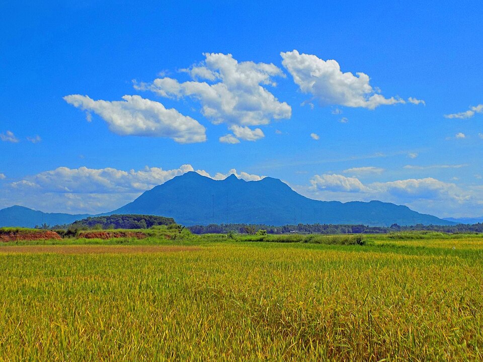 Lương An Kỳ