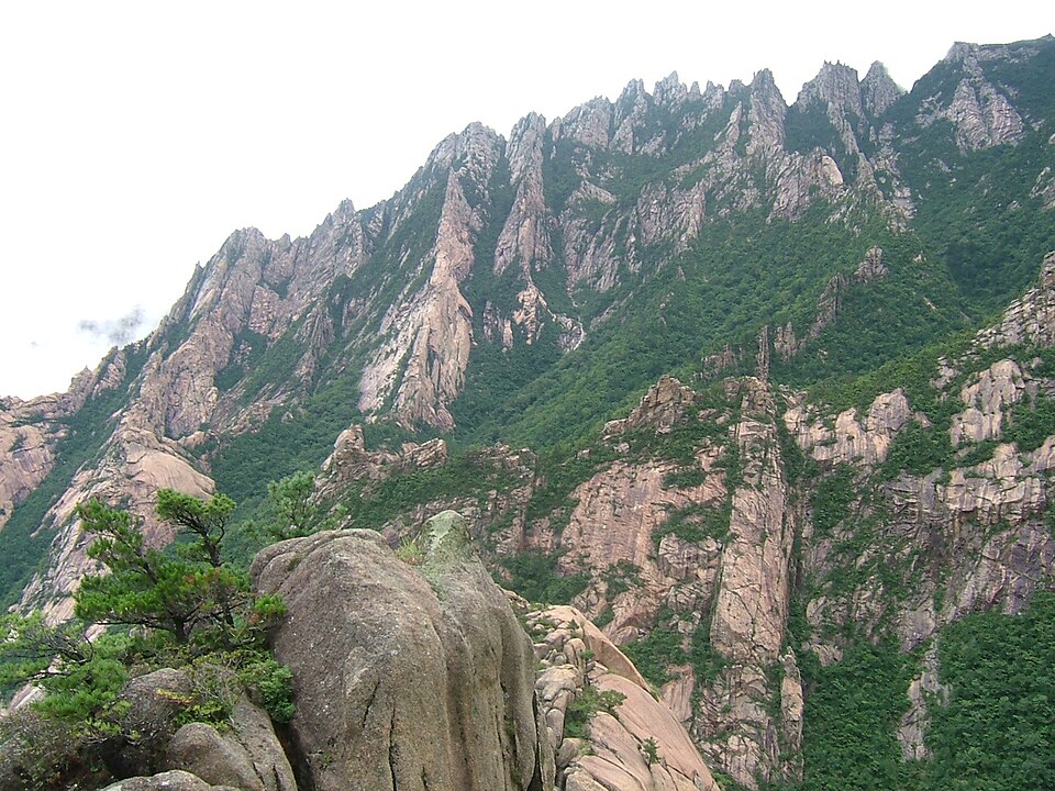 Lupine Travel