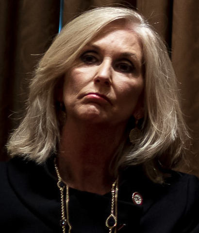 Lynn Fitch