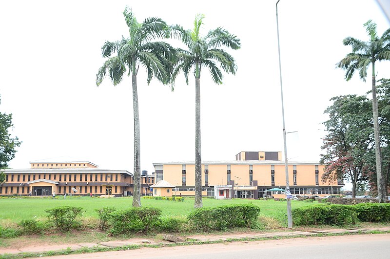 M.A. Omo-Osagie