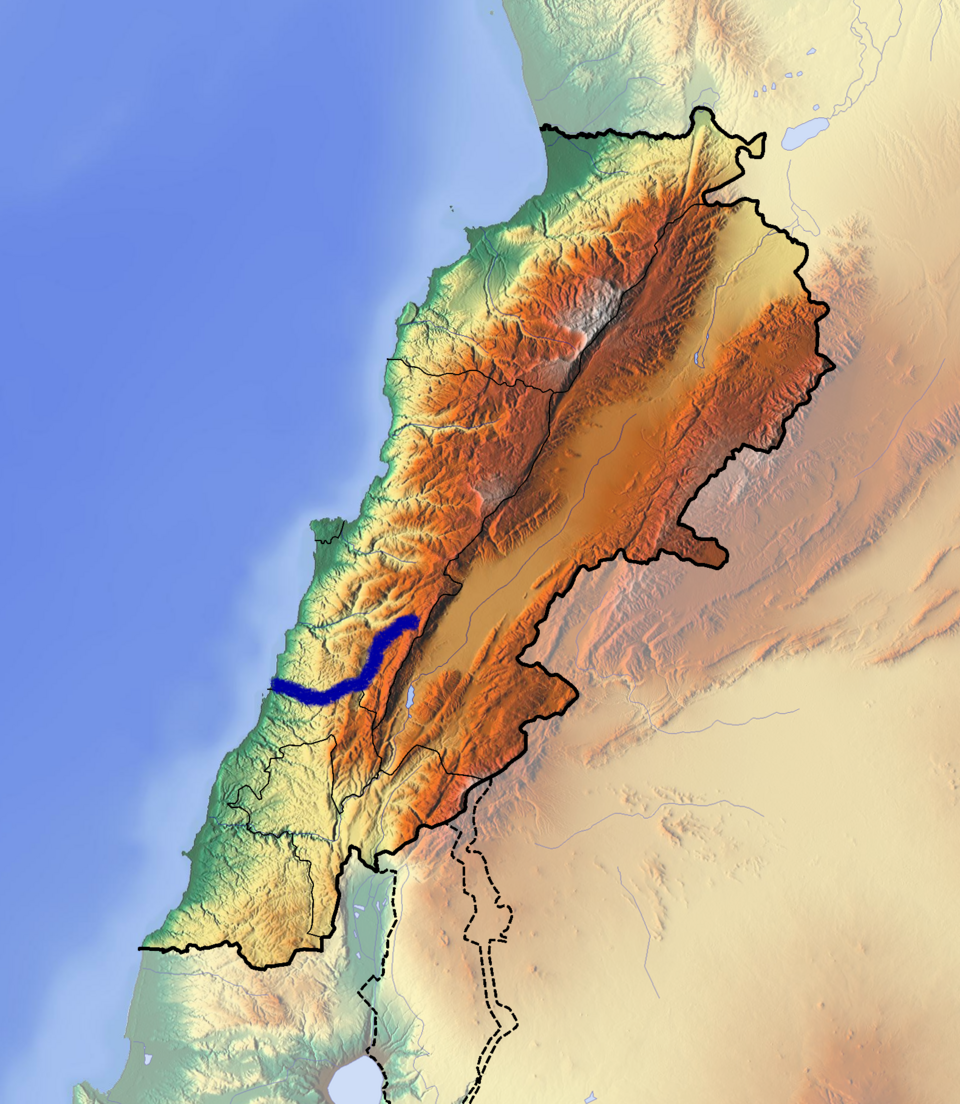 M Bisri