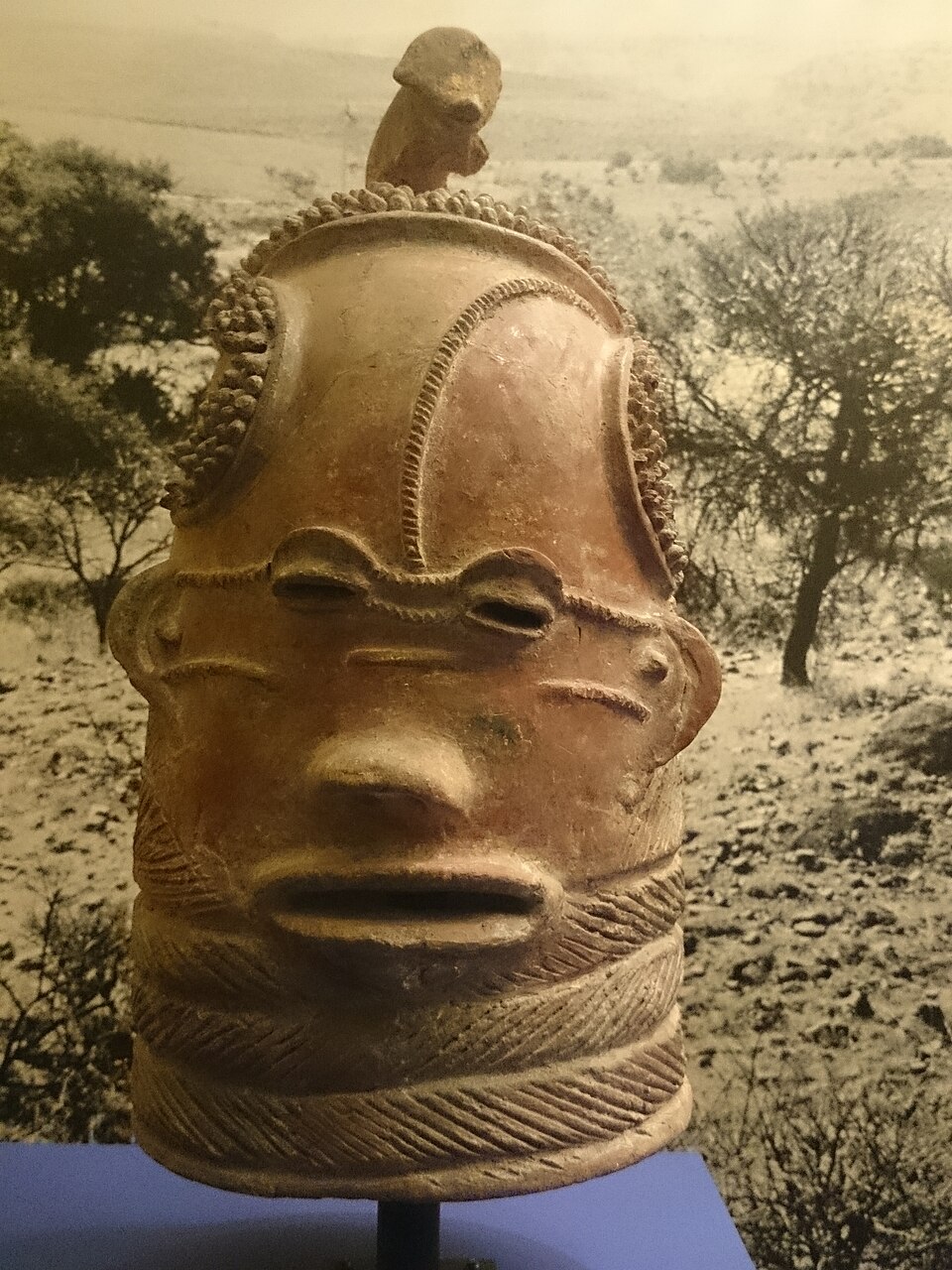 Macholo