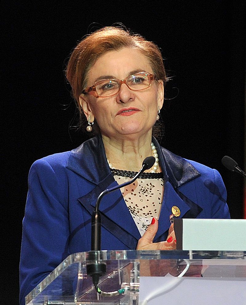 Mădălina Voinea