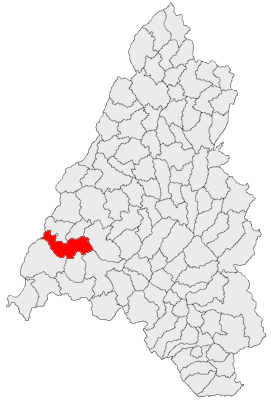 Madarász