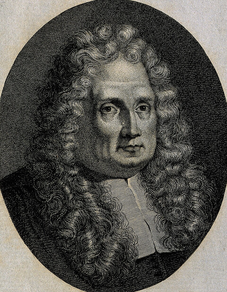 Magalotti