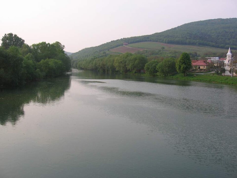 Magdoško Patrik