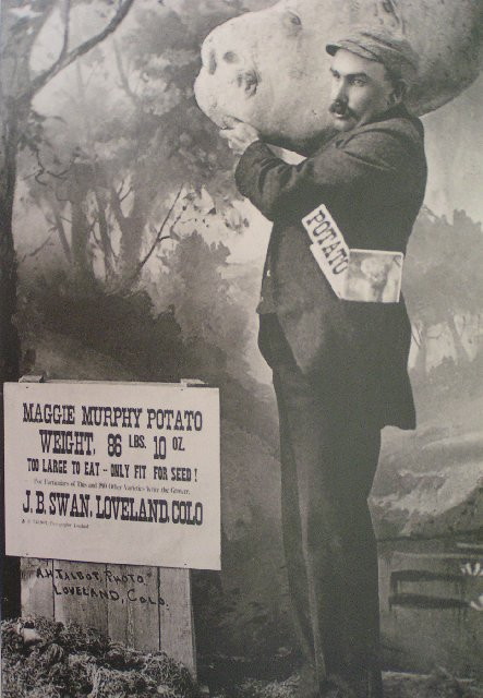 Maggie Murphy