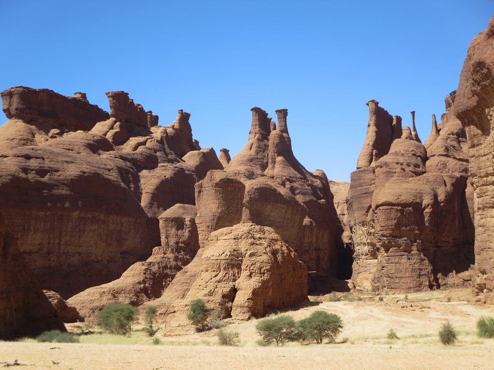 Mahamat Togou Tchohimi