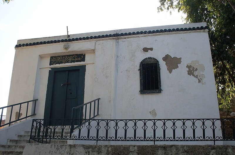 Mahmoud Arafa