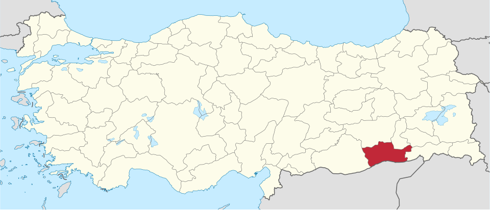 Mahmut Duyan