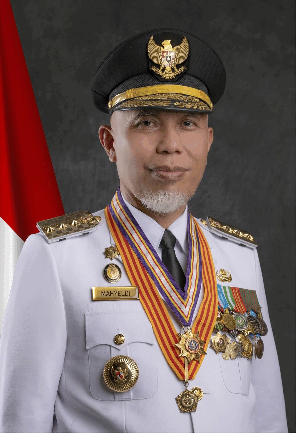 Mahyeldi