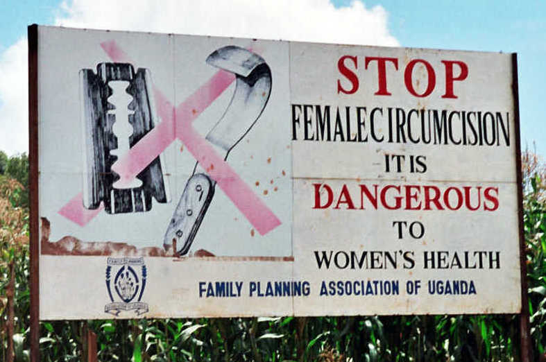 Maid Adel Khamis
