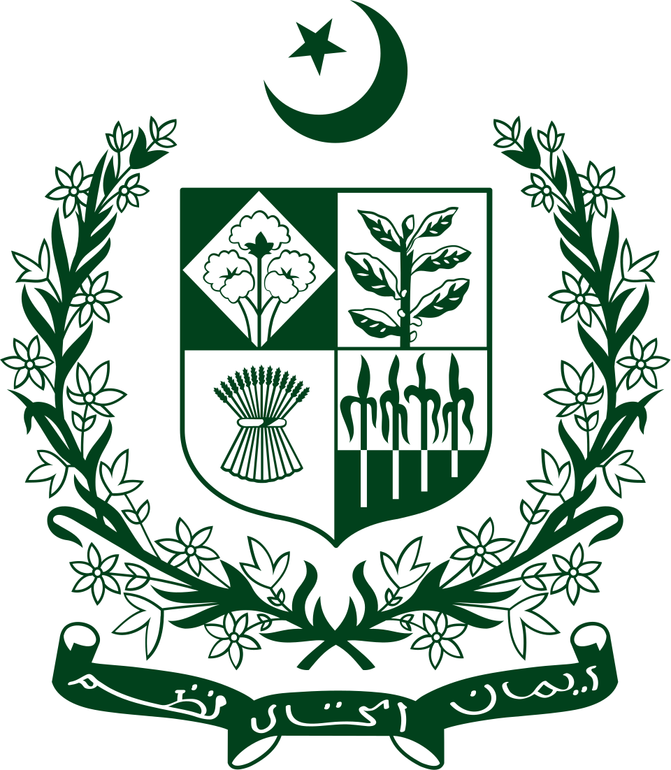Maisoon Ali
