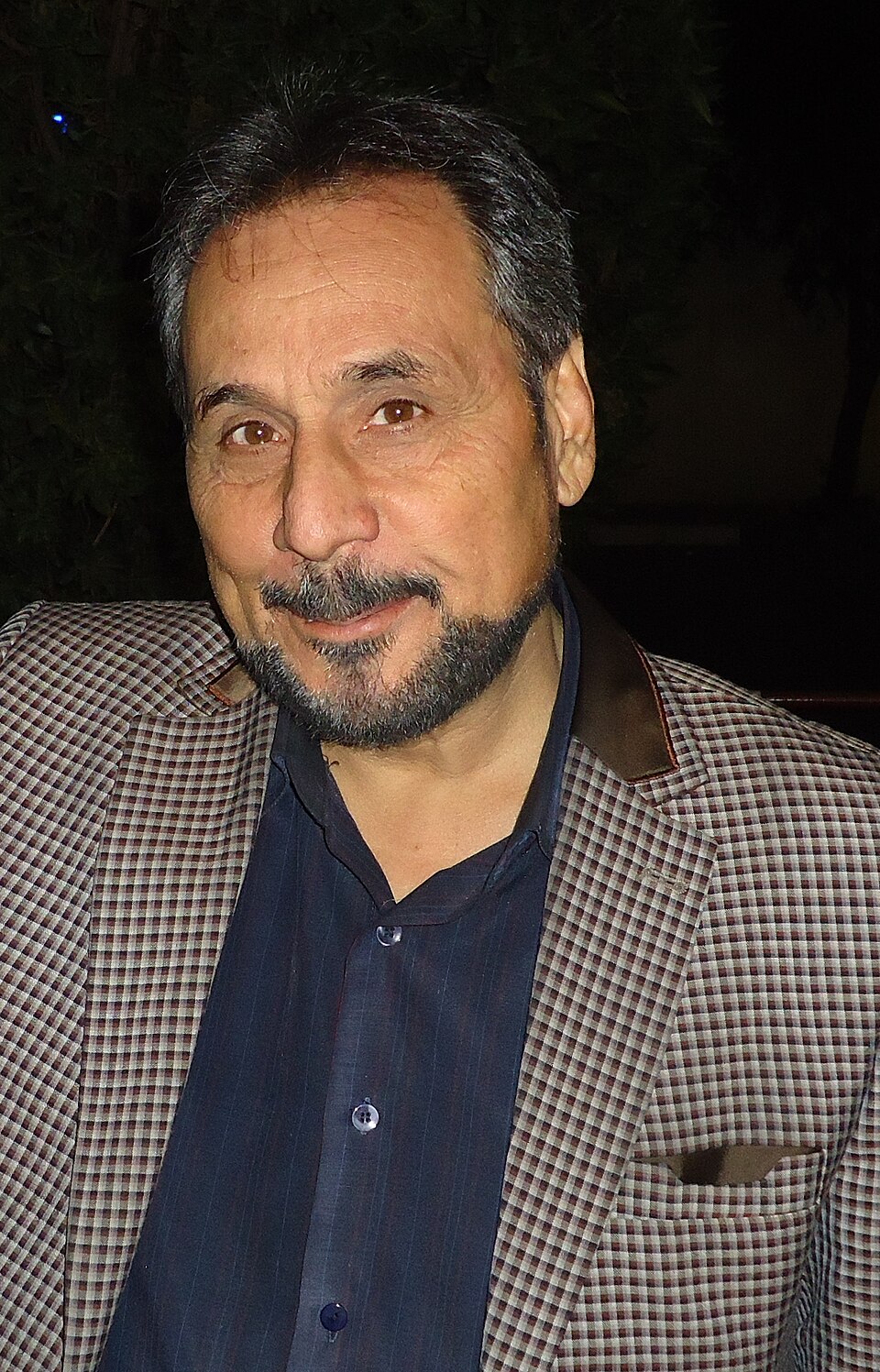 Majid Ghanad