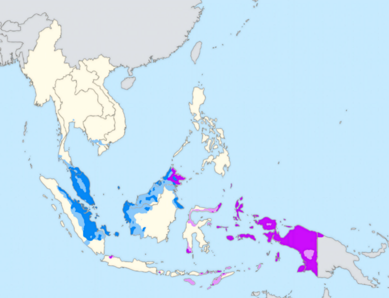Malay