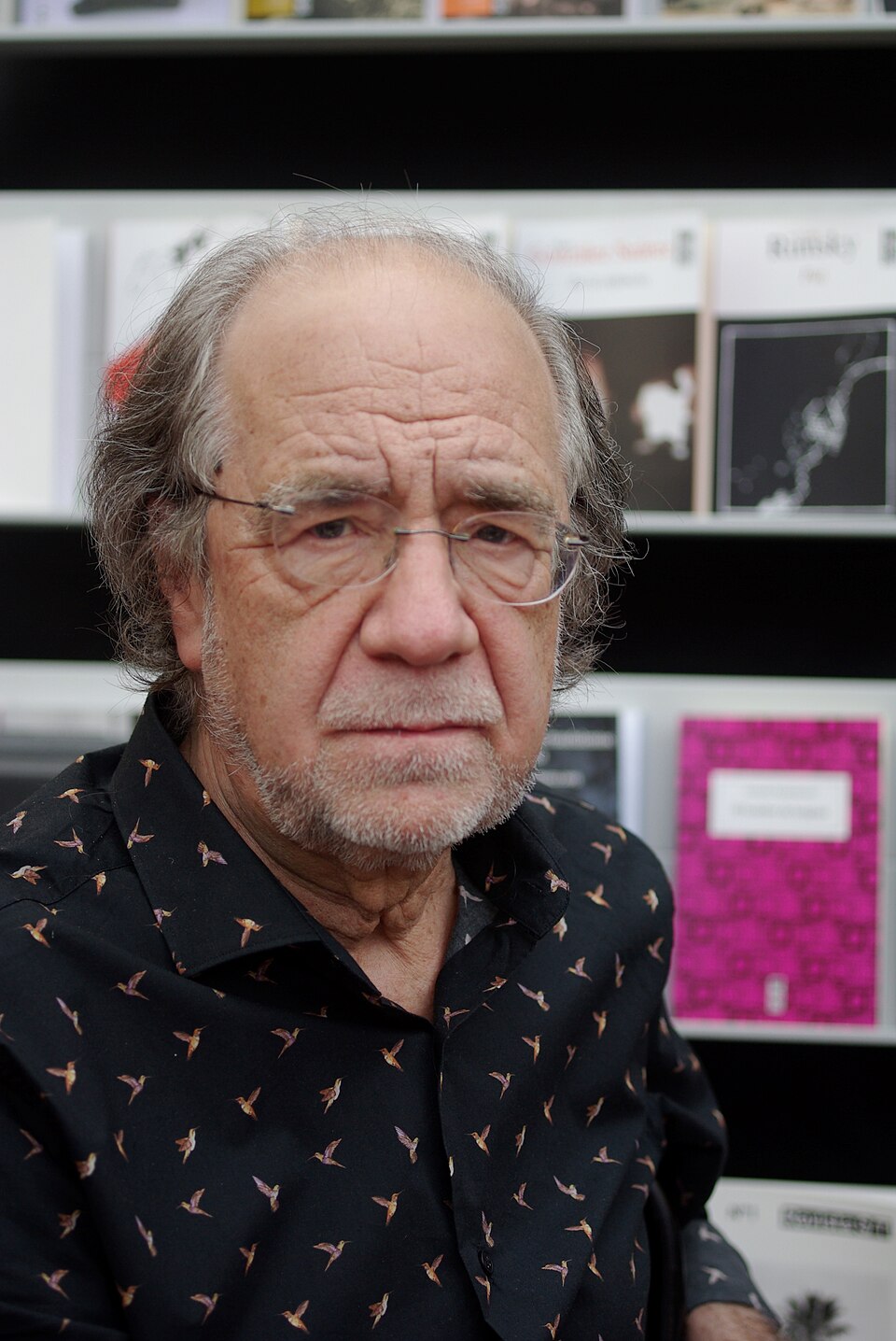 Manuel Antonio Garretón