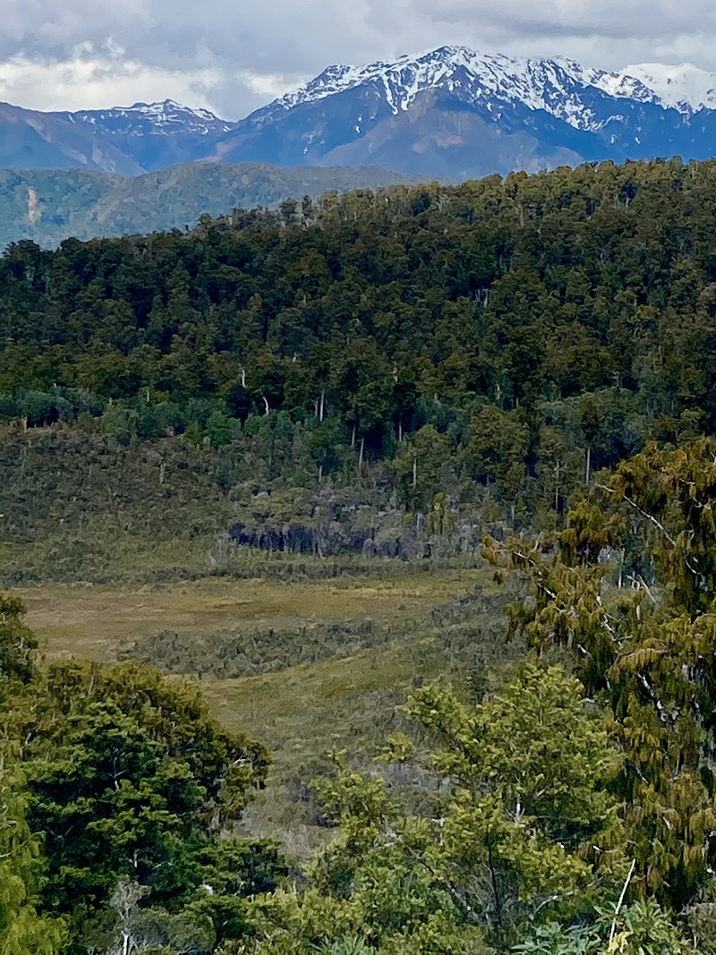 Manuka Strata