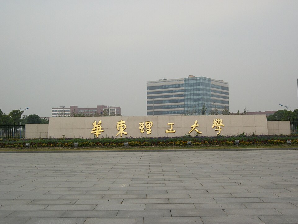 Mao Guhua