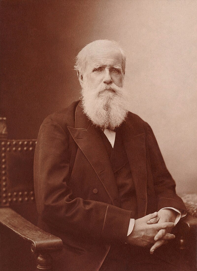 Marcellin Pedro